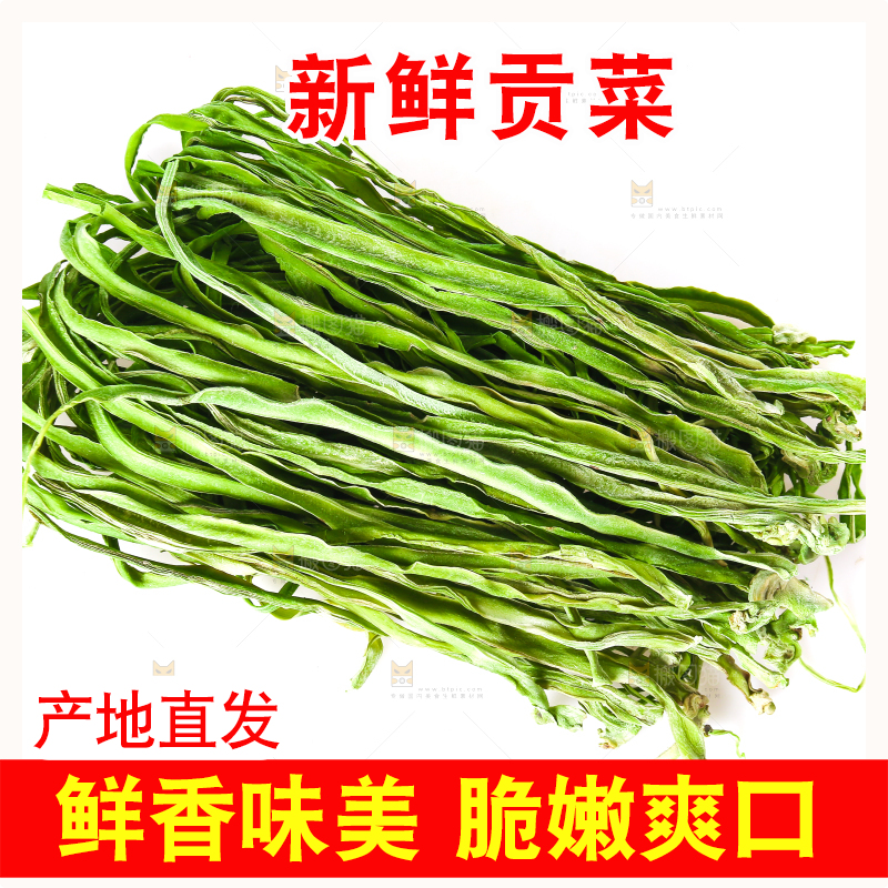 白底上的贡菜