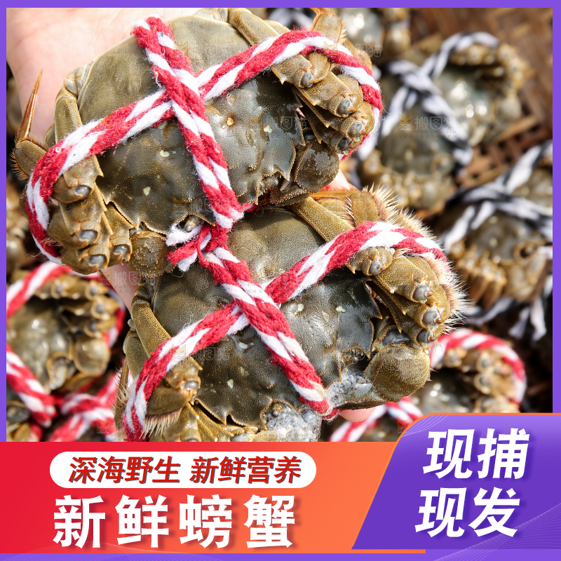 手里拿着阳澄湖大闸蟹