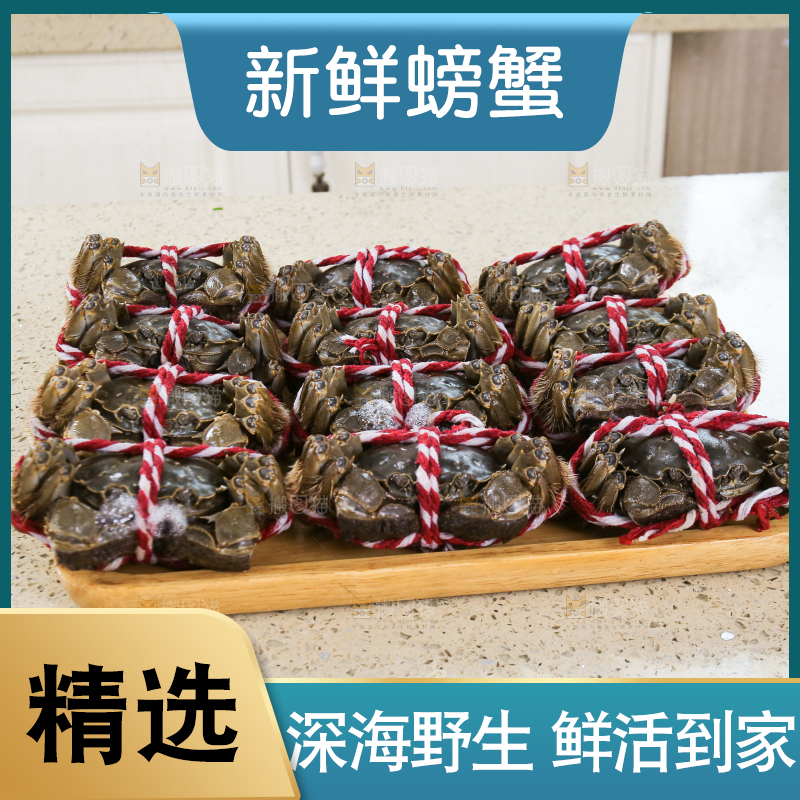 浅底上的鲜活螃蟹