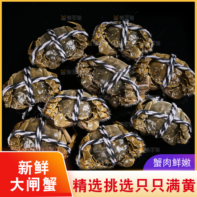 黑底上的鲜活大闸蟹