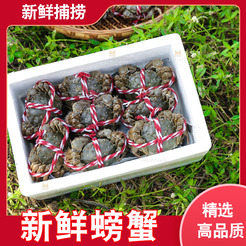 手里拿着阳澄湖大闸蟹