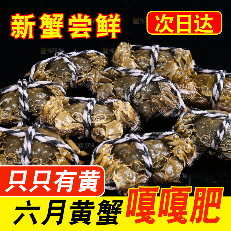 黑底上的鲜活大闸蟹