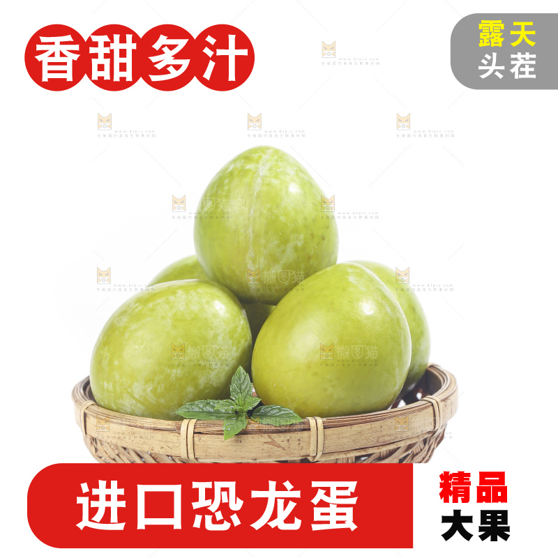 白底上放着新鲜恐龙蛋