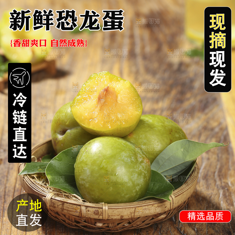 木底上放着恐龙蛋李