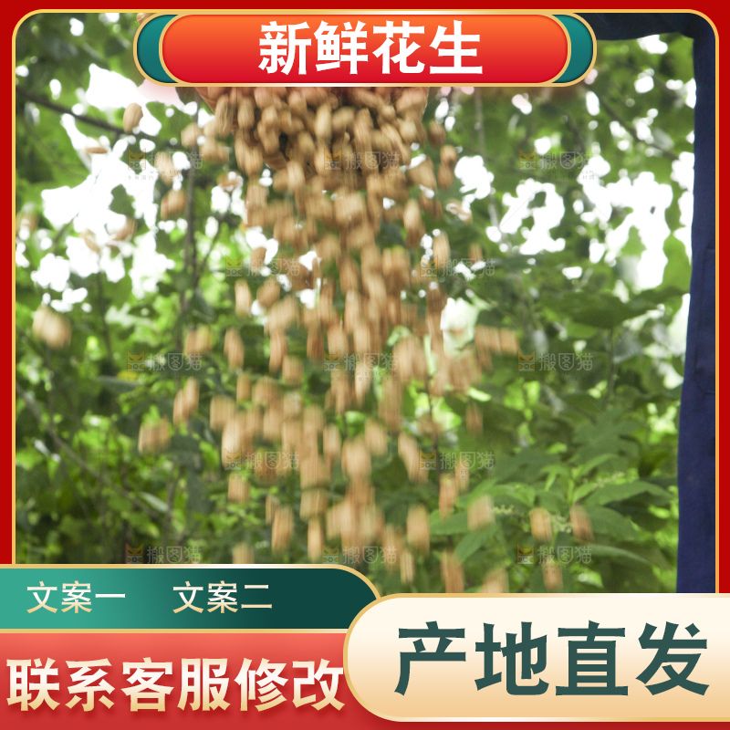 手里拿着现挖花生