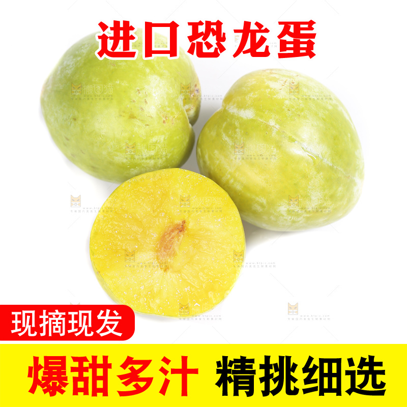 白底上放着新鲜恐龙蛋