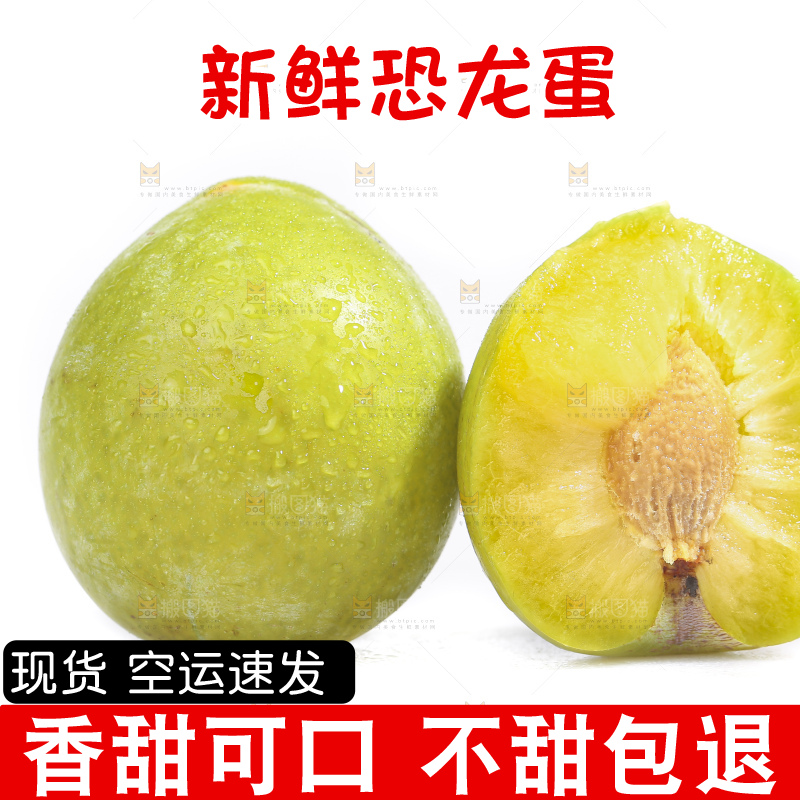 白底上放着新鲜恐龙蛋
