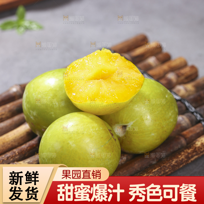 木底上放着恐龙蛋李