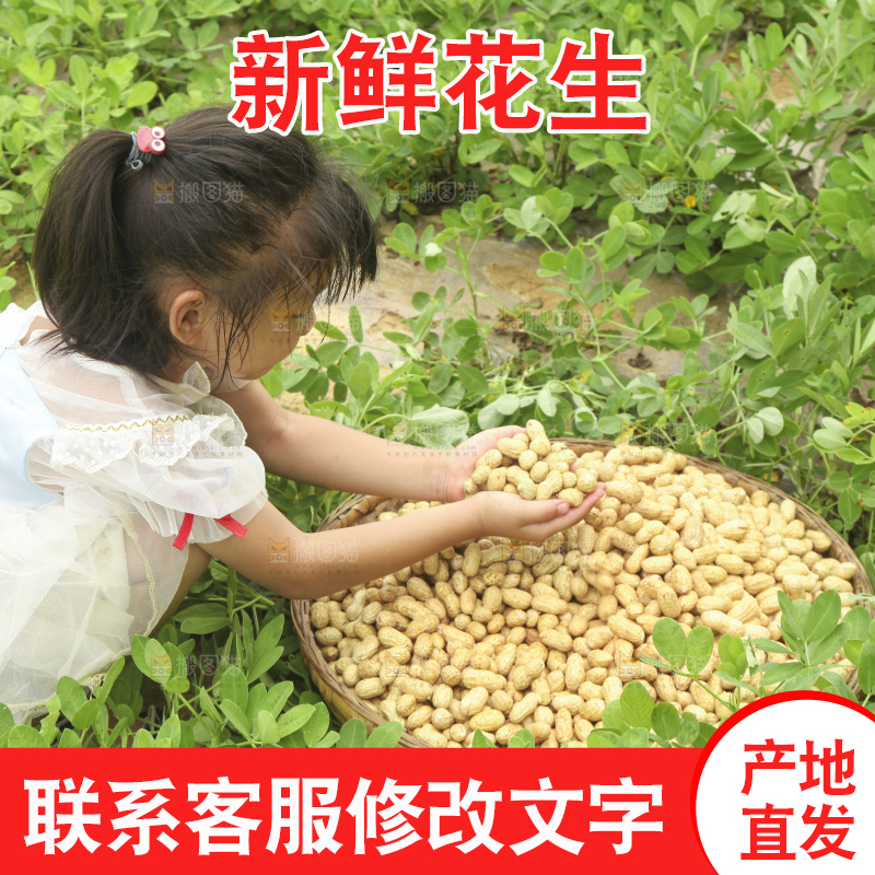 手里拿着现挖花生