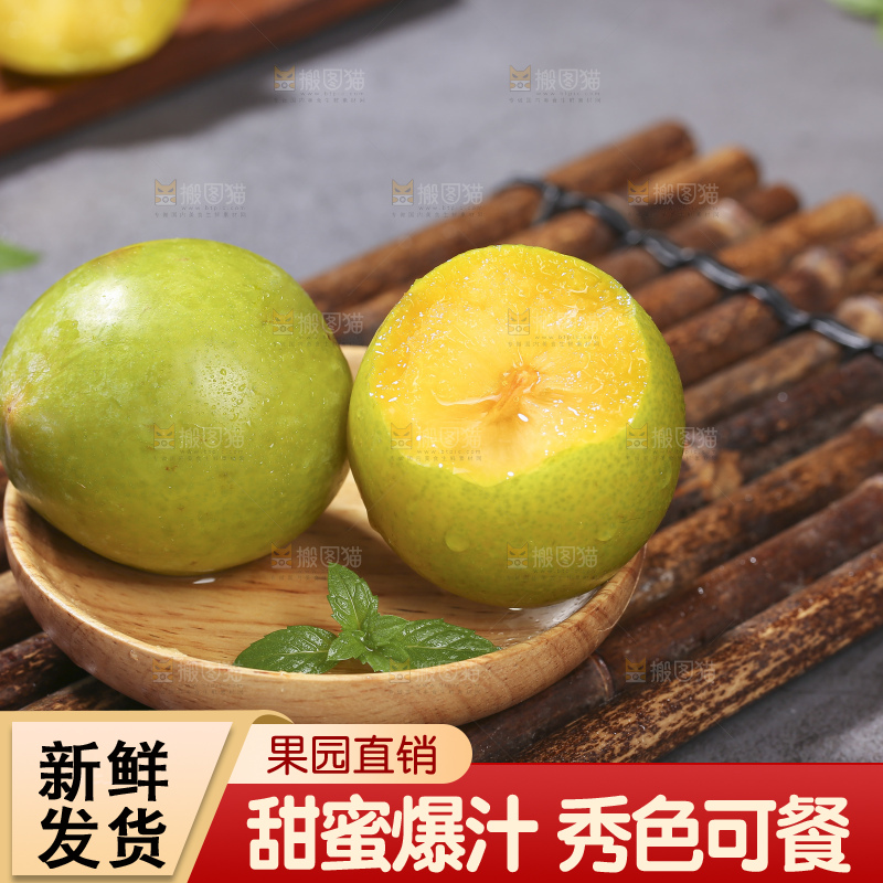 木底上放着恐龙蛋李
