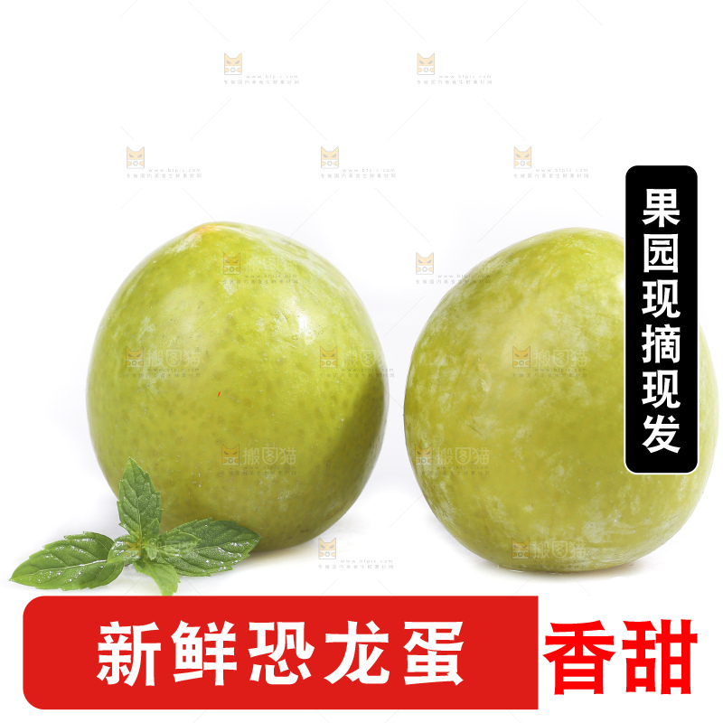 白底上放着新鲜恐龙蛋