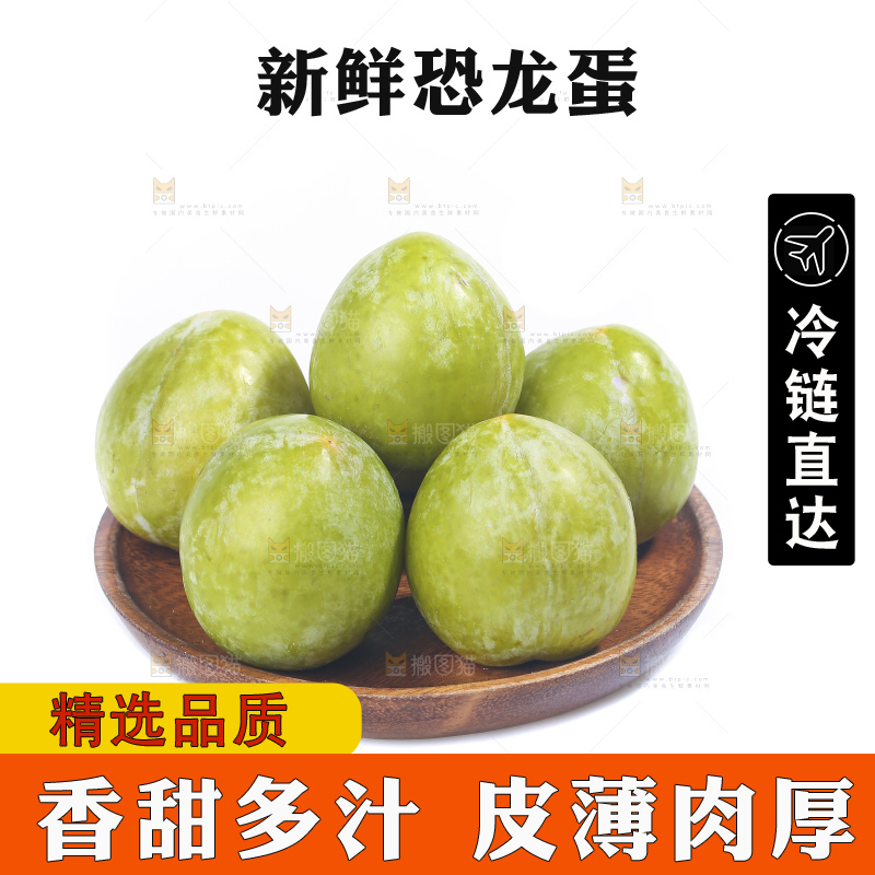 白底上放着新鲜恐龙蛋