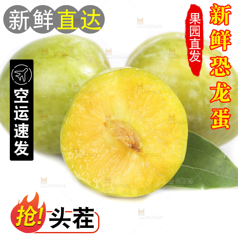白底上放着新鲜恐龙蛋