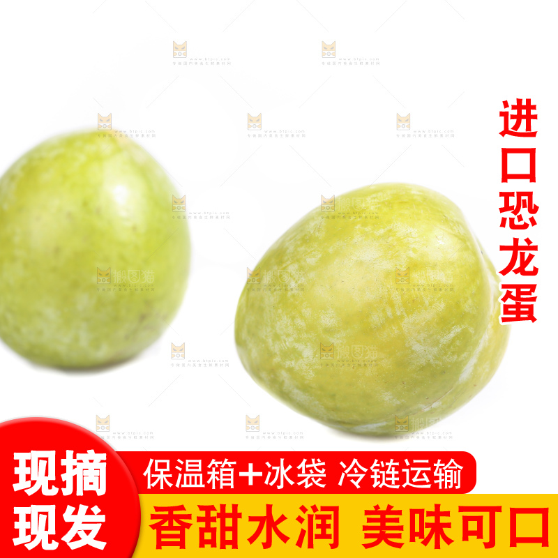 白底上放着新鲜恐龙蛋