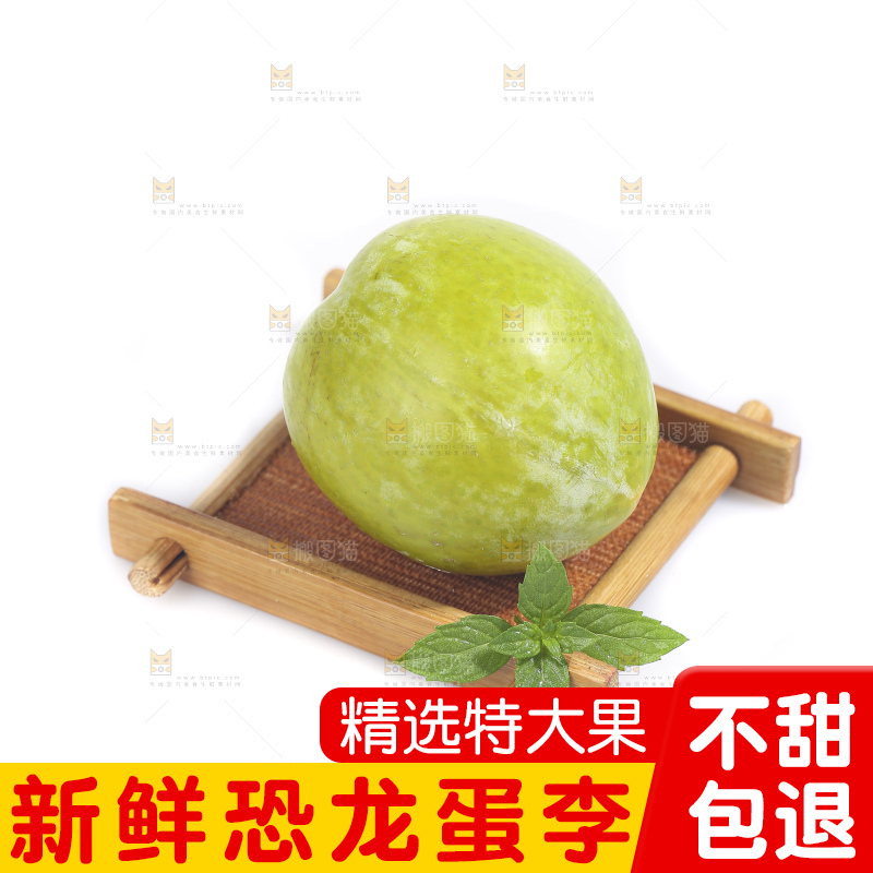 白底上放着新鲜恐龙蛋