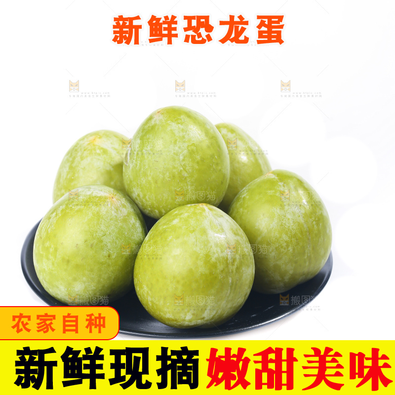 白底上放着新鲜恐龙蛋