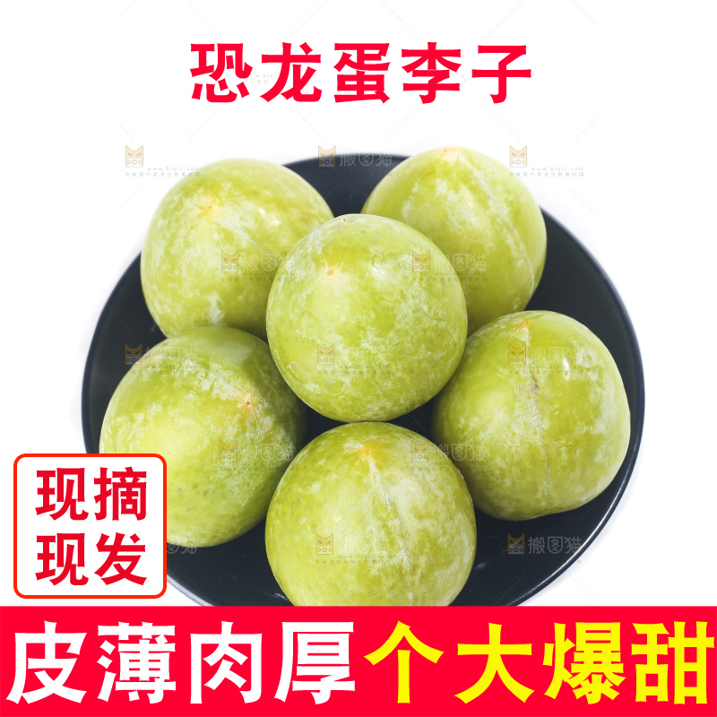 白底上放着新鲜恐龙蛋