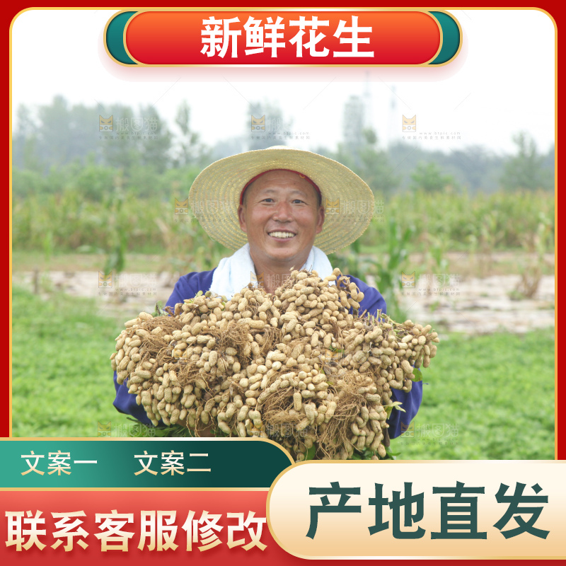 手里拿着现挖花生