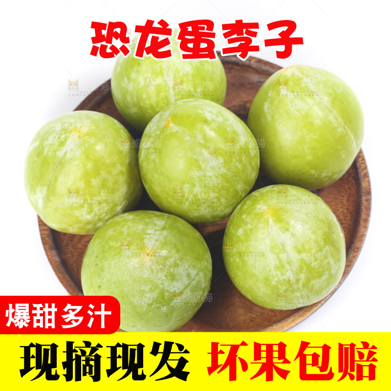 白底上放着新鲜恐龙蛋