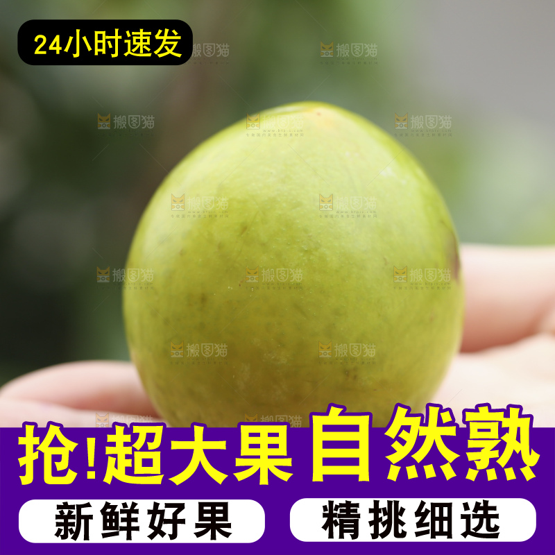 手里拿着恐龙蛋李子