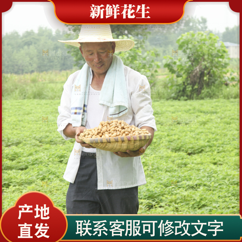 手里拿着现挖花生