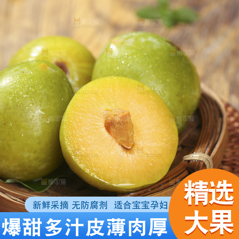 木底上放着恐龙蛋李