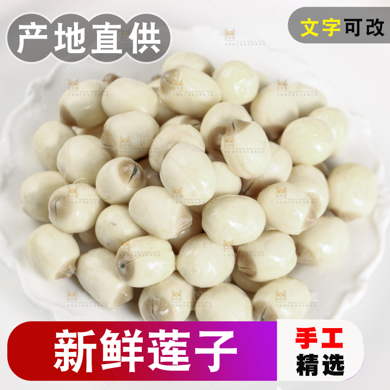 浅底上的莲子