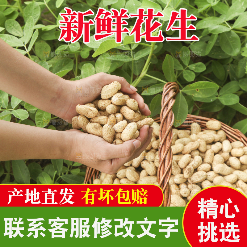 手里拿着现挖花生