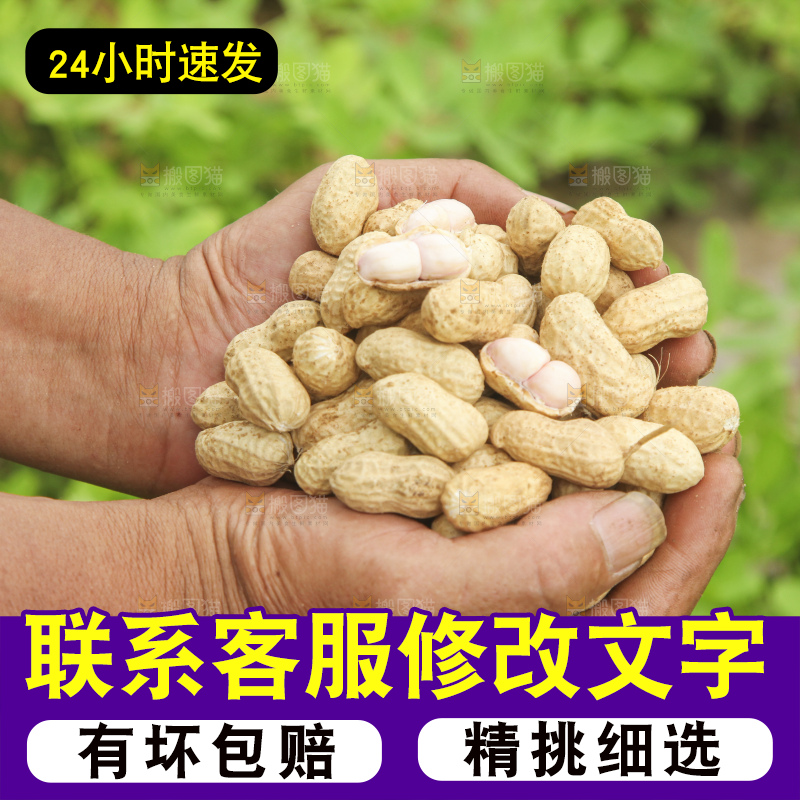 手里拿着现挖花生