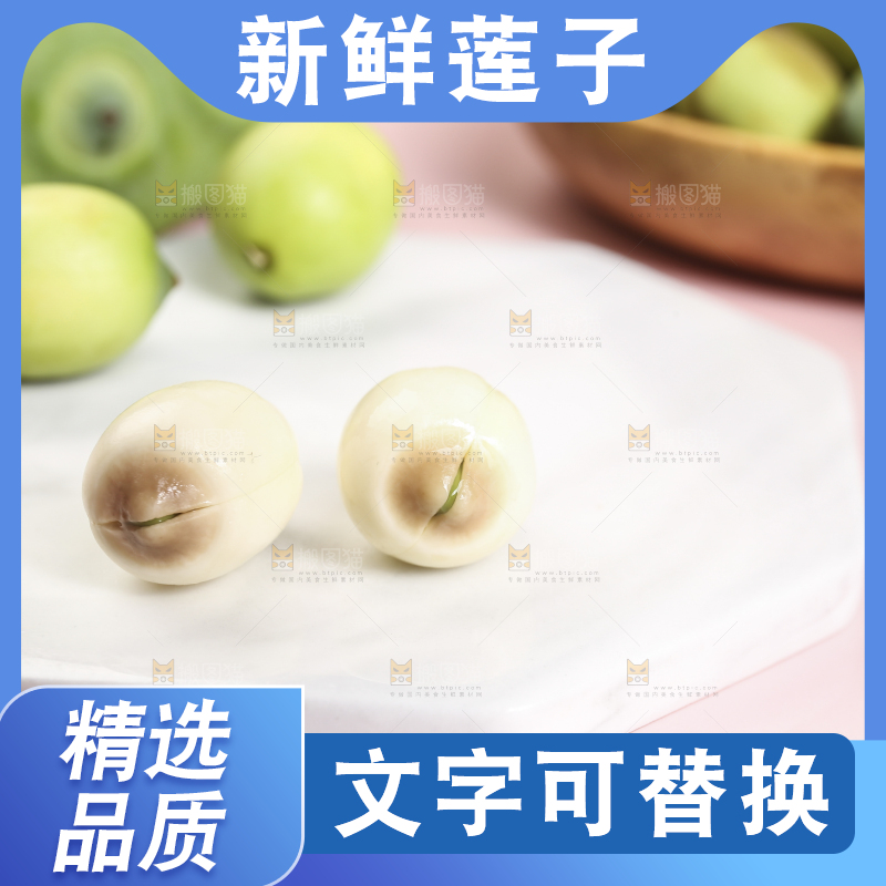 浅底上的莲子