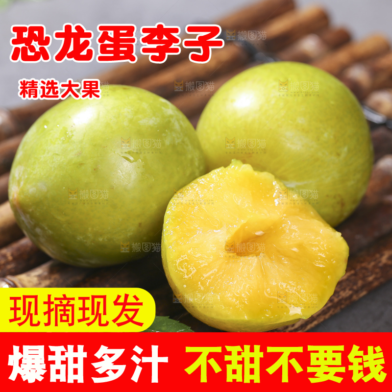 木底上放着恐龙蛋李