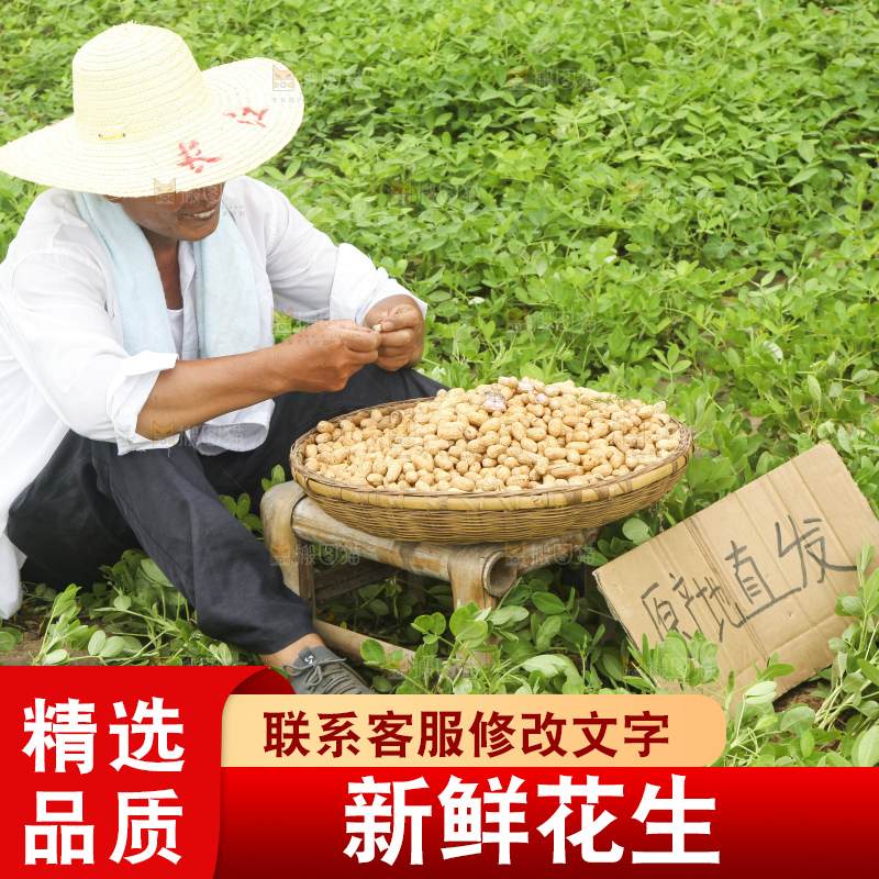 手里拿着现挖花生