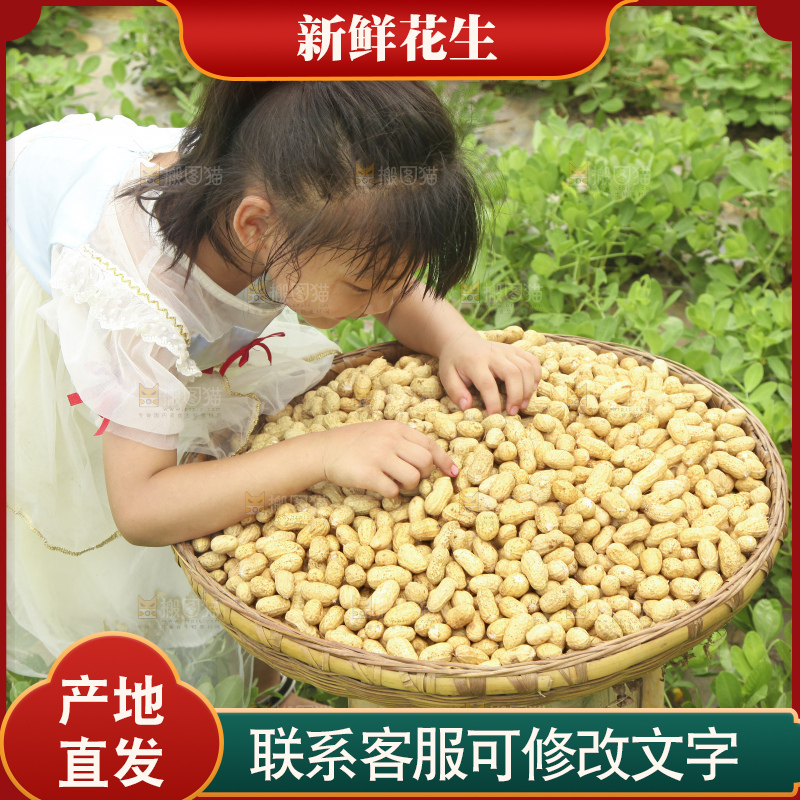 手里拿着现挖花生