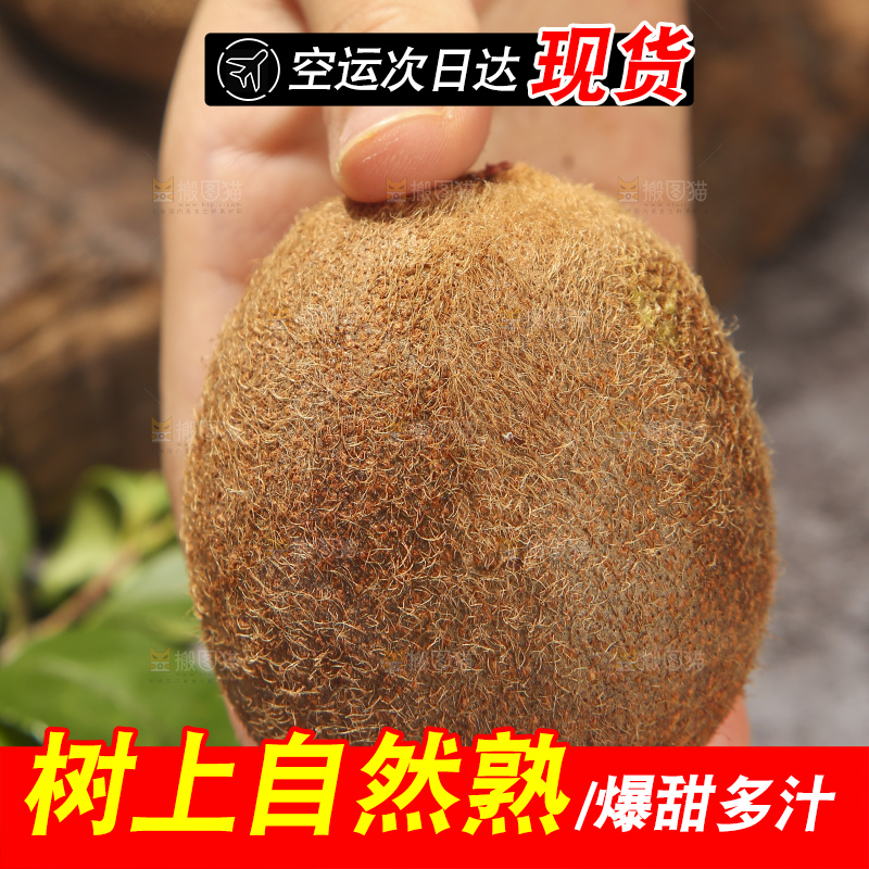 深底上的瑞玉猕猴桃