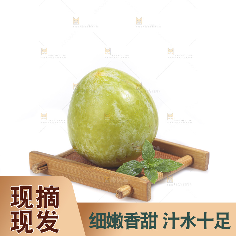 白底上放着新鲜恐龙蛋