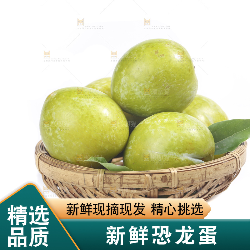 白底上放着新鲜恐龙蛋