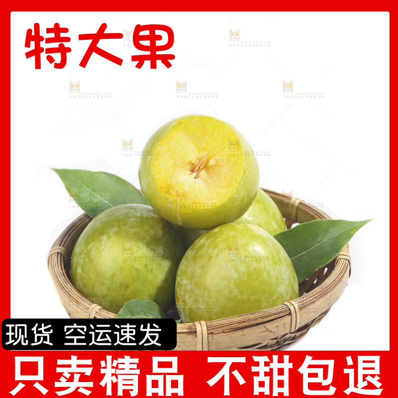 白底上放着新鲜恐龙蛋