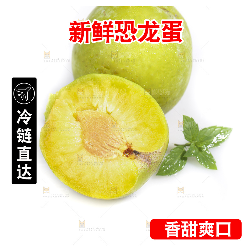 白底上放着新鲜恐龙蛋