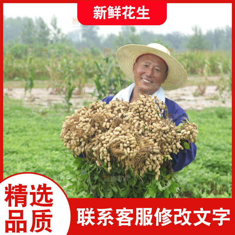 手里拿着现挖花生