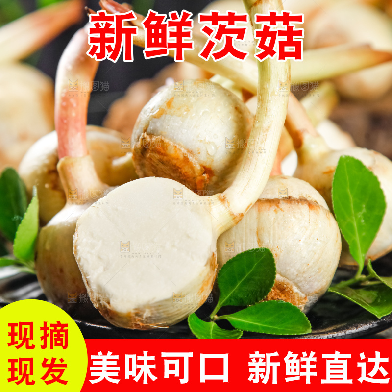 盘子里放着切开的白茨菇
