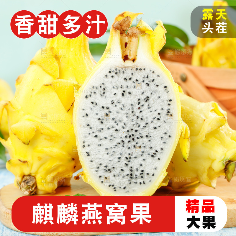 浅底上的黄皮火龙果