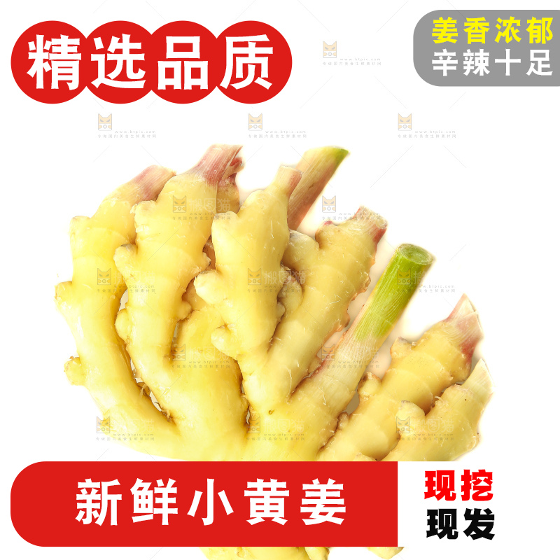 白底上的小黄姜