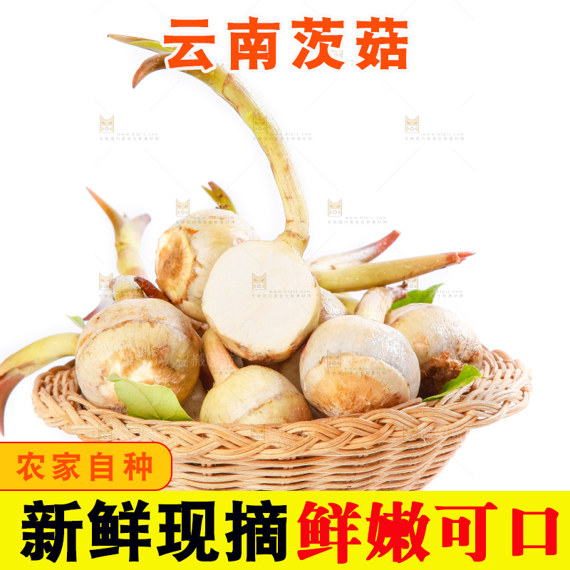 竹篮里装着云南茨菇