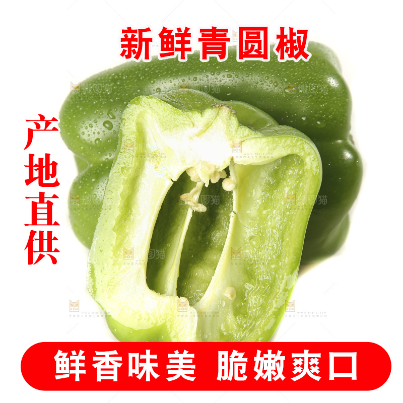 白底上的青圆椒