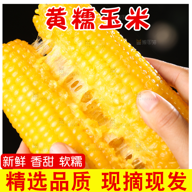 深底上的黄糯玉米