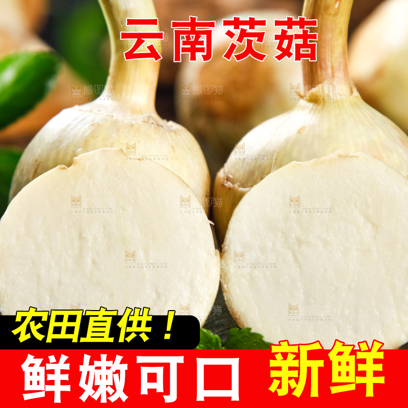 黑石垫上放着切开的白茨菇