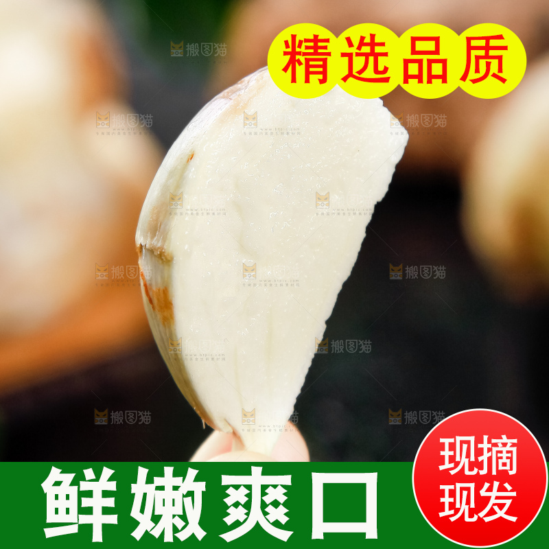 手里拿着切开白茨菇