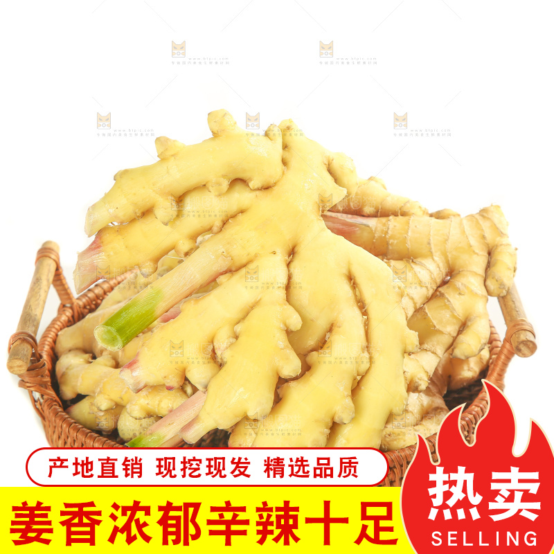 白底上的小黄姜
