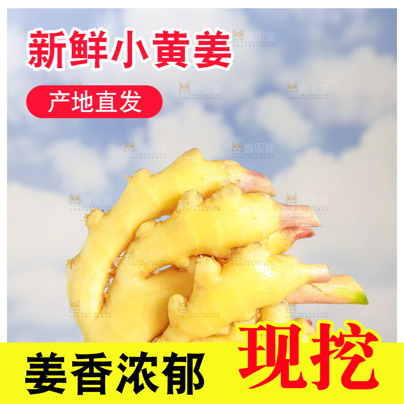 浅底上的小黄姜