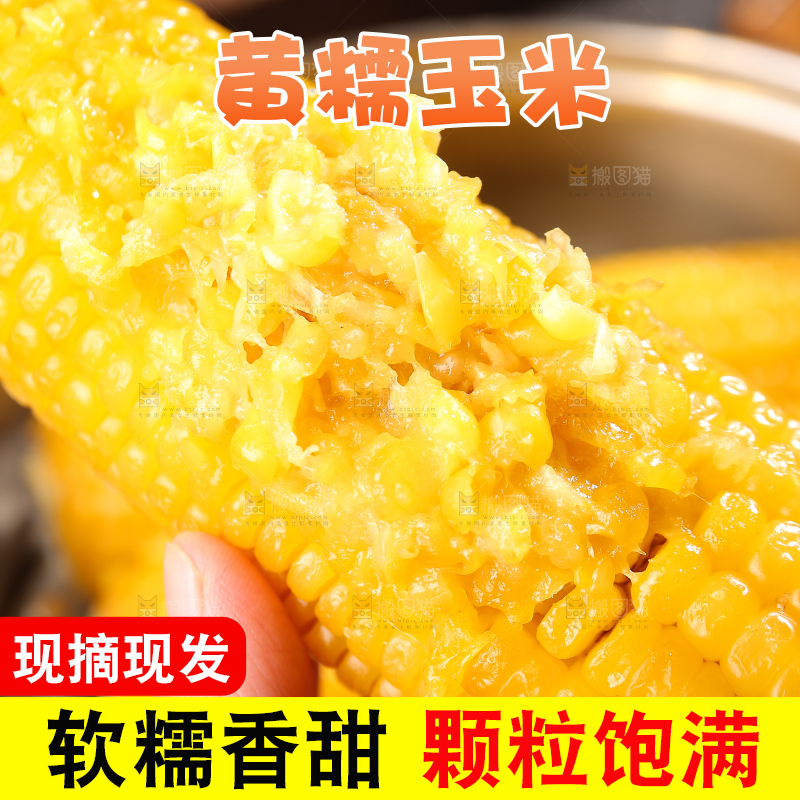 深底上的黄糯玉米